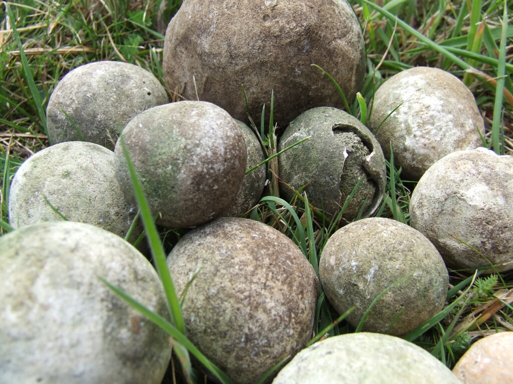 Hammerstone: rounded flint nodule used for knapping
